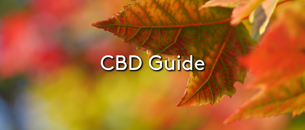 CBD Guide
