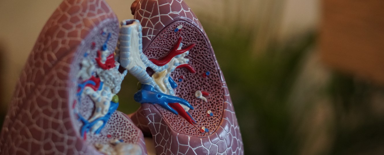 New study finds that lungs heal after quitting smoking