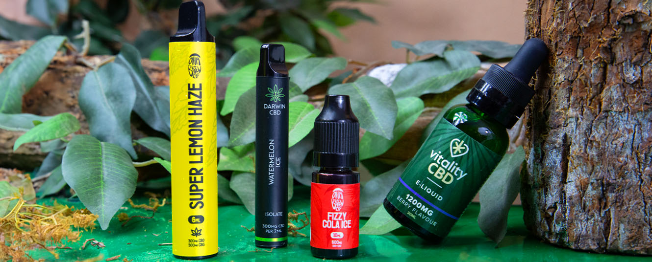 Top CBD solutions for 2024