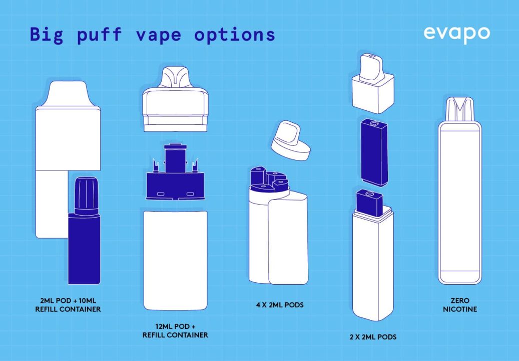 An infographic showing variations of big puff vape kits.